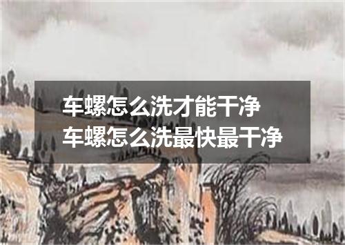 车螺怎么洗才能干净 车螺怎么洗最快最干净