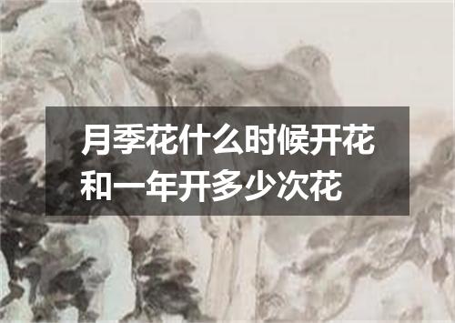 月季花什么时候开花和一年开多少次花