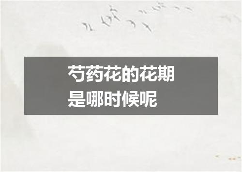 芍药花的花期是哪时候呢