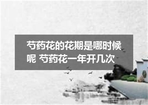 芍药花的花期是哪时候呢 芍药花一年开几次