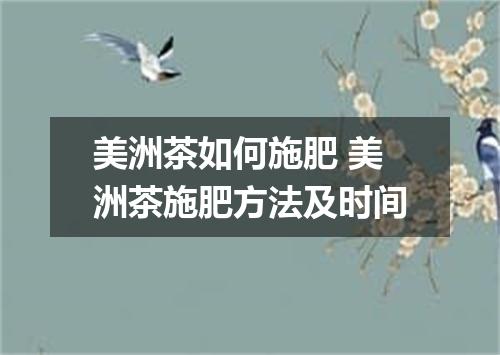 美洲茶如何施肥 美洲茶施肥方法及时间