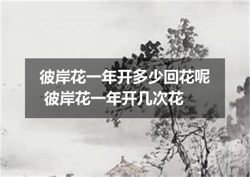 彼岸花一年开多少回花呢 彼岸花一年开几次花