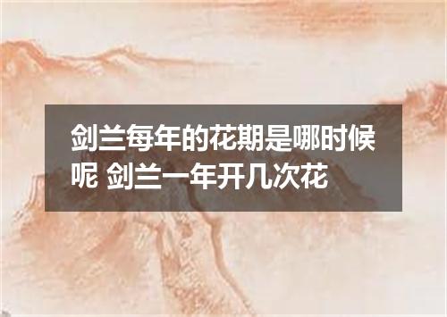 剑兰每年的花期是哪时候呢 剑兰一年开几次花