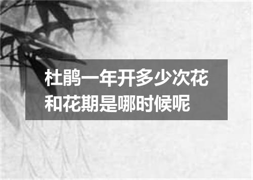 杜鹃一年开多少次花和花期是哪时候呢