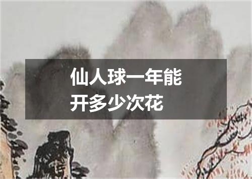 仙人球一年能开多少次花
