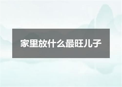 家里放什么最旺儿子