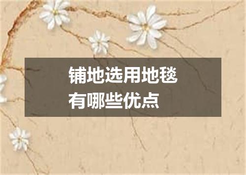 铺地选用地毯有哪些优点