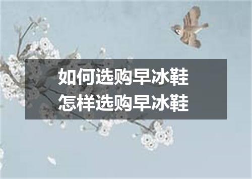 如何选购早冰鞋 怎样选购早冰鞋