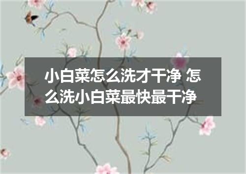 小白菜怎么洗才干净 怎么洗小白菜最快最干净
