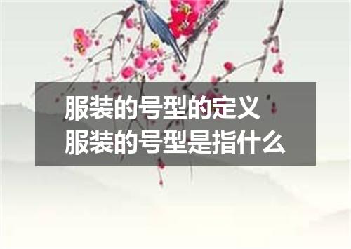服装的号型的定义 服装的号型是指什么