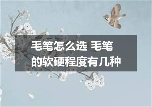 毛笔怎么选 毛笔的软硬程度有几种
