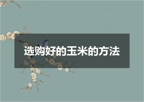 选购好的玉米的方法