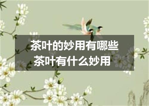 茶叶的妙用有哪些 茶叶有什么妙用