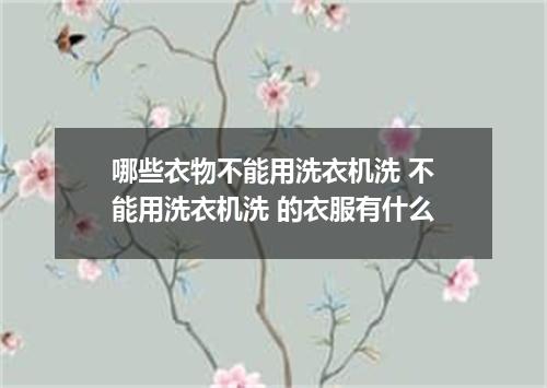 哪些衣物不能用洗衣机洗 不能用洗衣机洗 的衣服有什么