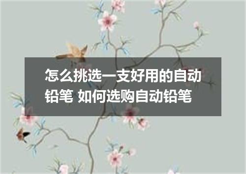 怎么挑选一支好用的自动铅笔 如何选购自动铅笔