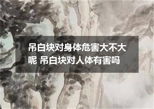 吊白块对身体危害大不大呢 吊白块对人体有害吗