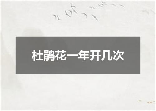 杜鹃花一年开几次