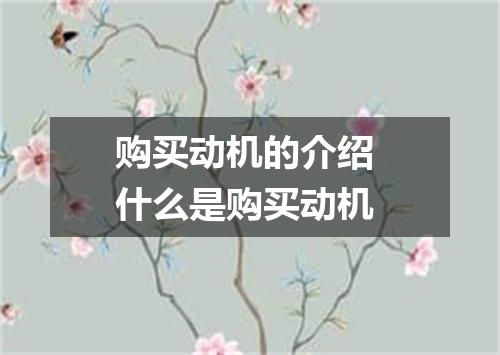购买动机的介绍 什么是购买动机