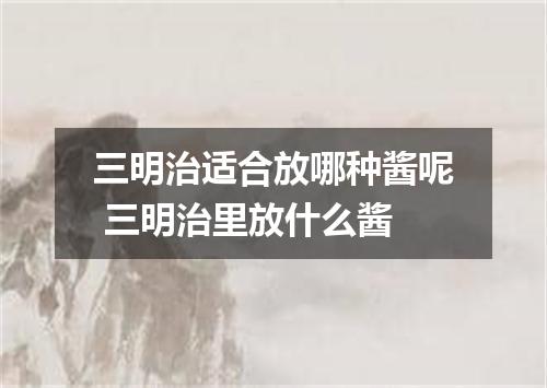 三明治适合放哪种酱呢 三明治里放什么酱