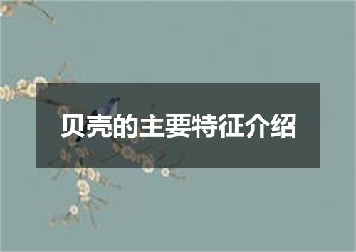 贝壳的主要特征介绍