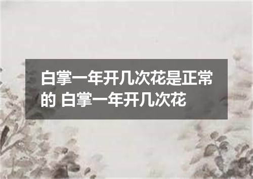 白掌一年开几次花是正常的 白掌一年开几次花