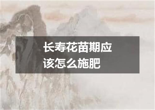 长寿花苗期应该怎么施肥