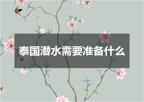 泰国潜水需要准备什么