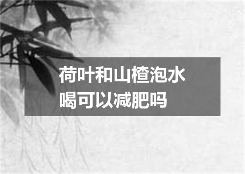 荷叶和山楂泡水喝可以减肥吗
