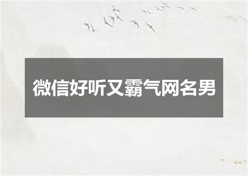 微信好听又霸气网名男
