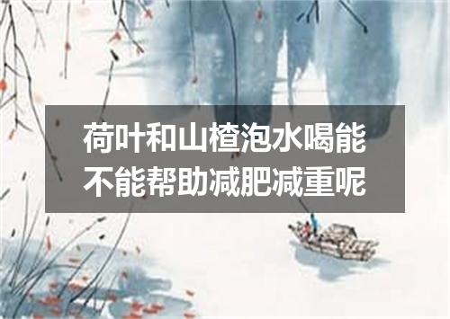 荷叶和山楂泡水喝能不能帮助减肥减重呢