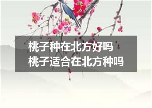 桃子种在北方好吗 桃子适合在北方种吗