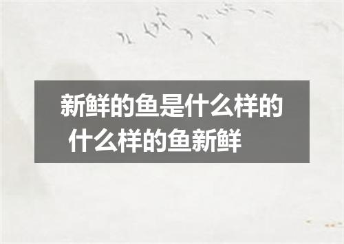 新鲜的鱼是什么样的 什么样的鱼新鲜