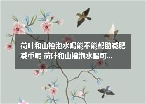 荷叶和山楂泡水喝能不能帮助减肥减重呢 荷叶和山楂泡水喝可以减肥吗