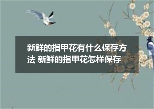 新鲜的指甲花有什么保存方法 新鲜的指甲花怎样保存