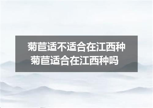 菊苣适不适合在江西种 菊苣适合在江西种吗