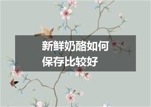 新鲜奶酪如何保存比较好