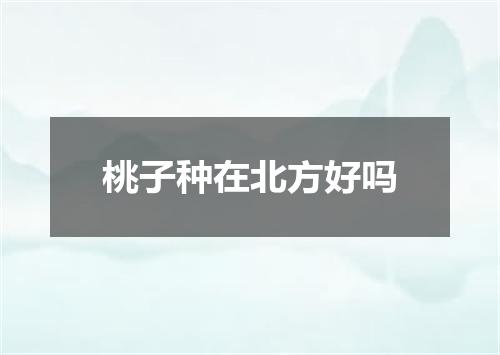 桃子种在北方好吗