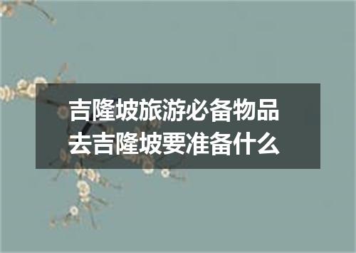 吉隆坡旅游必备物品 去吉隆坡要准备什么