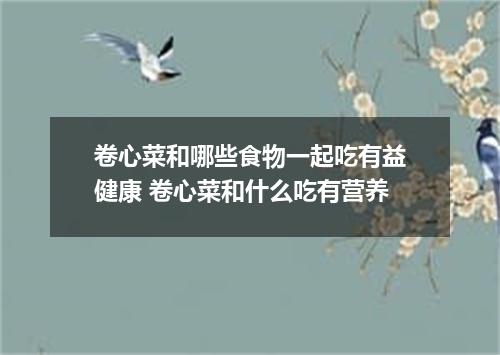 卷心菜和哪些食物一起吃有益健康 卷心菜和什么吃有营养