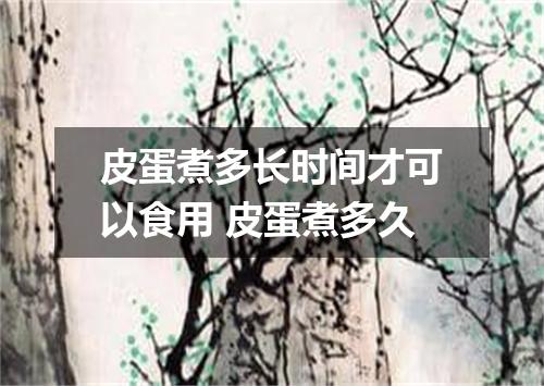 皮蛋煮多长时间才可以食用 皮蛋煮多久