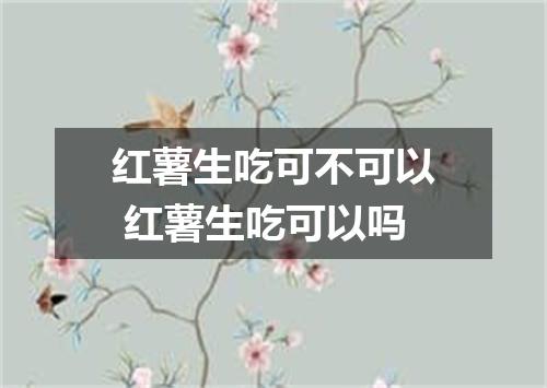 红薯生吃可不可以 红薯生吃可以吗
