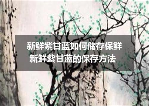 新鲜紫甘蓝如何储存保鲜 新鲜紫甘蓝的保存方法