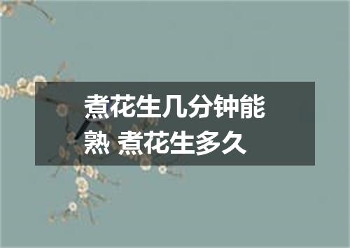 煮花生几分钟能熟 煮花生多久