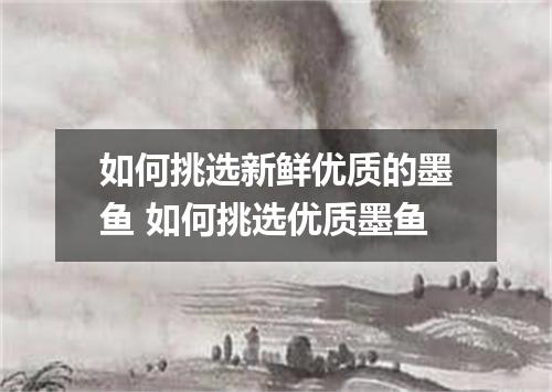 如何挑选新鲜优质的墨鱼 如何挑选优质墨鱼