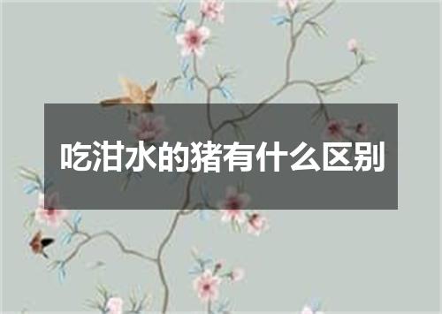吃泔水的猪有什么区别
