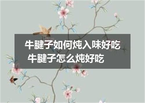 牛腱子如何炖入味好吃 牛腱子怎么炖好吃