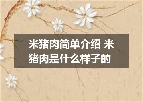 米猪肉简单介绍 米猪肉是什么样子的