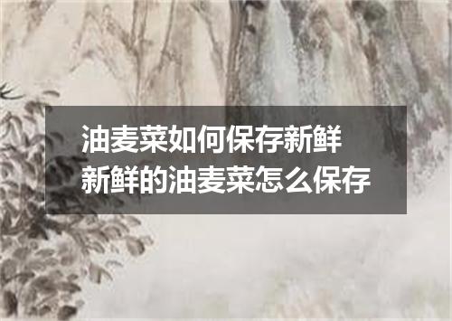 油麦菜如何保存新鲜 新鲜的油麦菜怎么保存