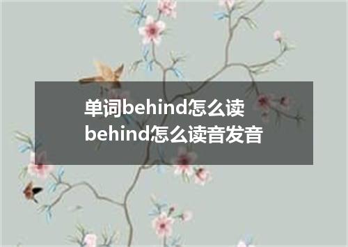 单词behind怎么读 behind怎么读音发音