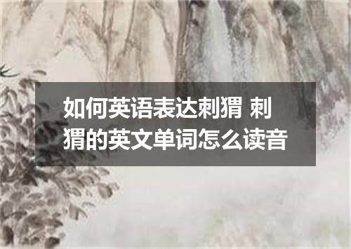 如何英语表达刺猬 刺猬的英文单词怎么读音